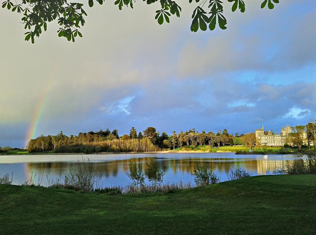 Отель Dromoland Castle Newmarket-on-Fergus Номер фото
